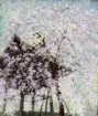 44 photo44_small.jpg